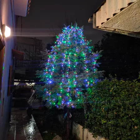 Spyros's Trikala (Thessaly)
